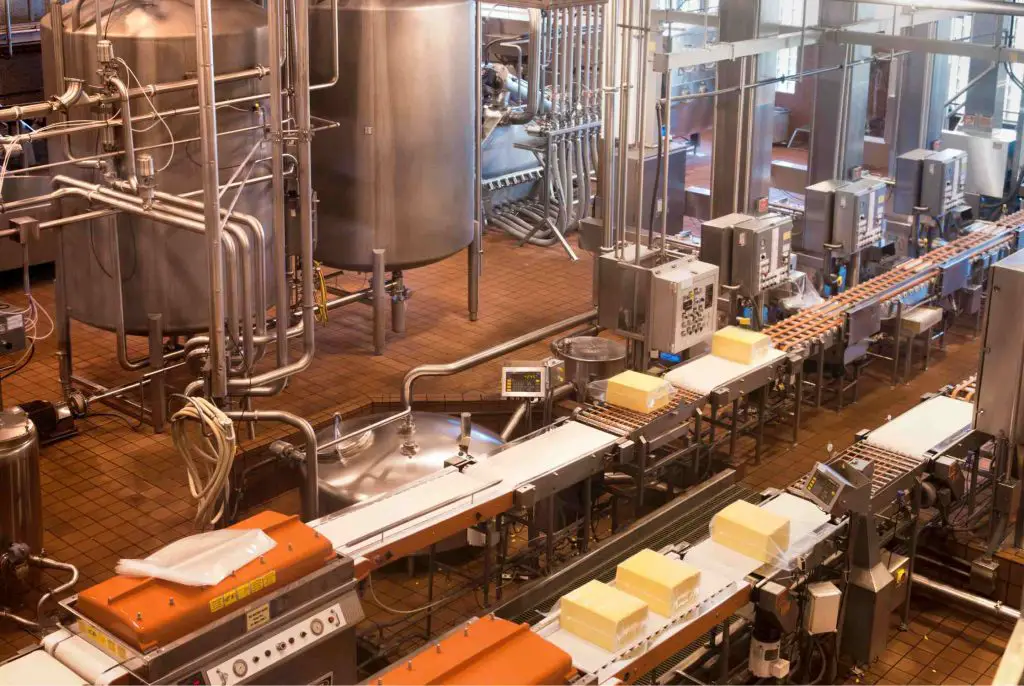 Cheese factory to make Grilled Cheese